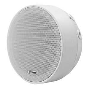 DSP5311W - 6.5" - 6W SURFACE MOUNT CEILING SPEAKER